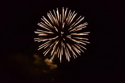 DSC_3365 (Large).JPG